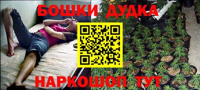 тгк Кингисепп
