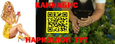 тгк Кингисепп