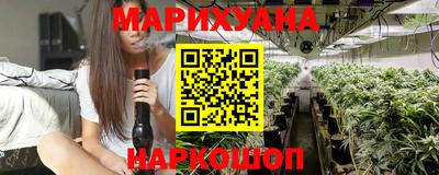 тгк Кингисепп