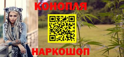 тгк Кингисепп