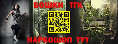 тгк Кингисепп