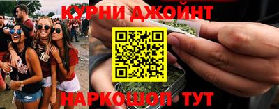 тгк Кингисепп