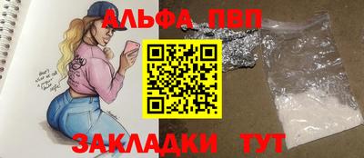 тгк Кингисепп