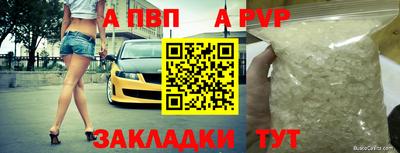 тгк Кингисепп