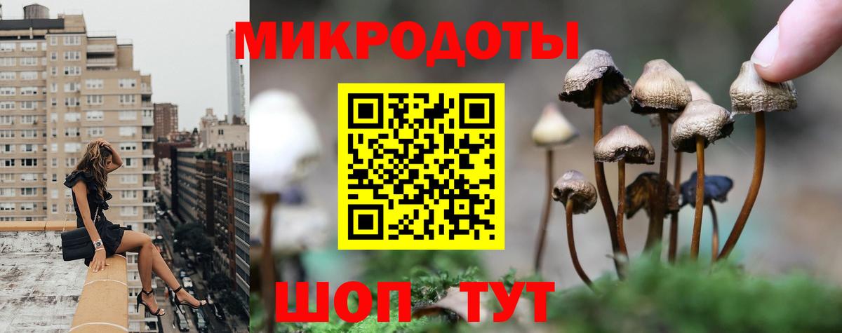 Кострома  Галлюциногенные грибы Psilocybe  Вход с VPN 
